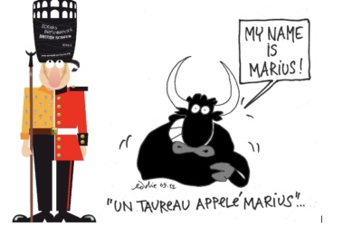 Projection de « Un taureau appelé Marius, une histoire de Camargue » le 8 octobre